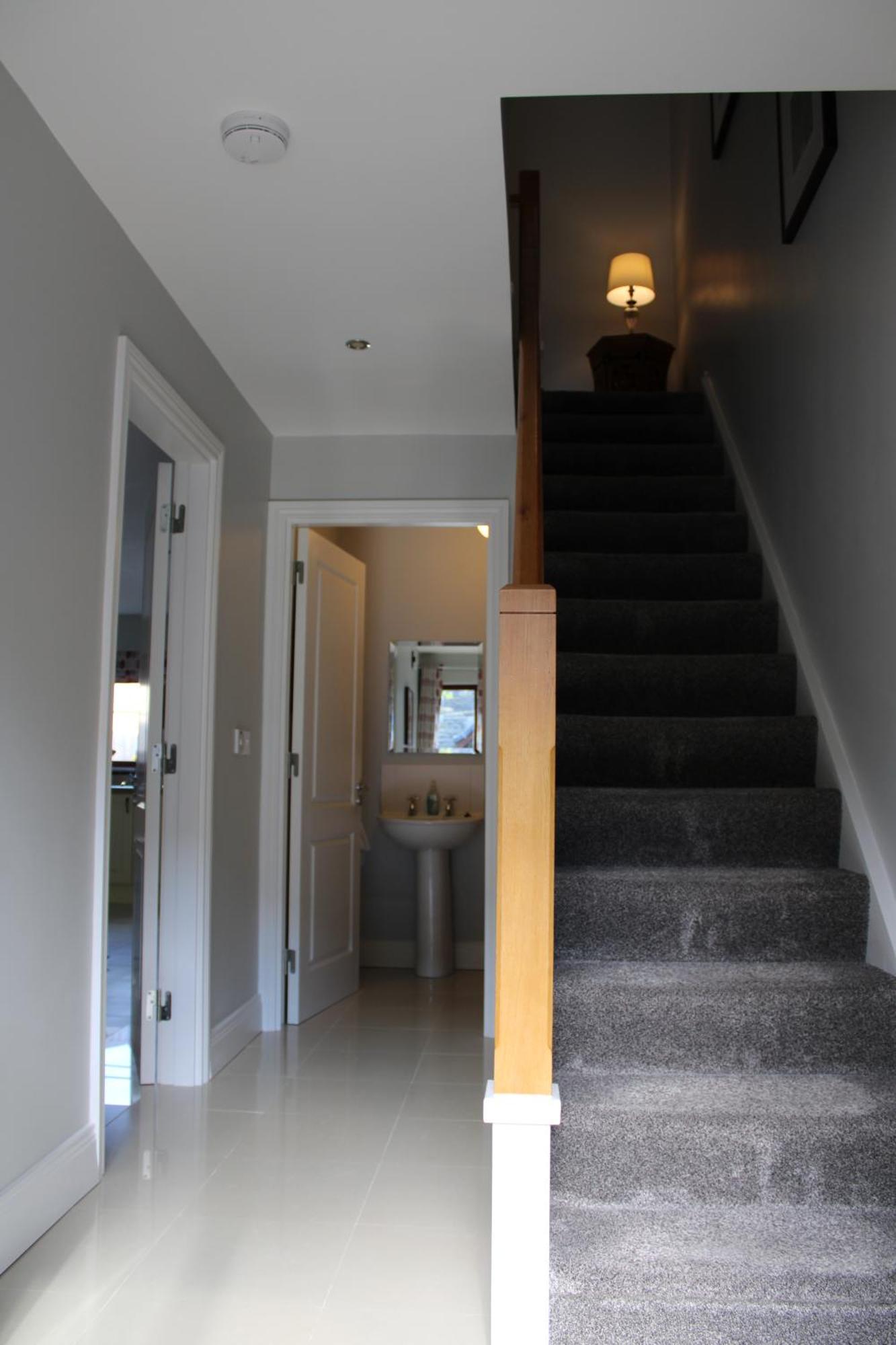 Cosy Holidayhomes Kerry Kenmare Buitenkant foto