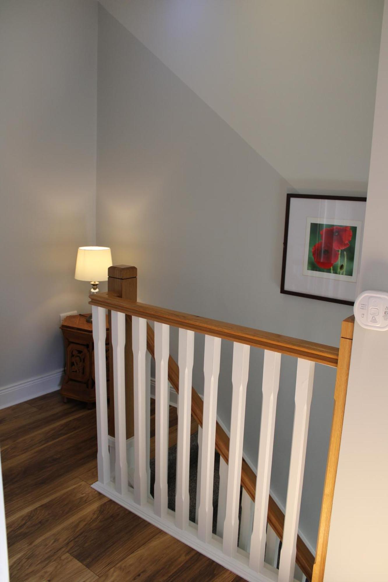 Cosy Holidayhomes Kerry Kenmare Buitenkant foto